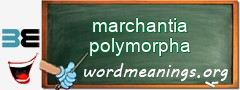 WordMeaning blackboard for marchantia polymorpha